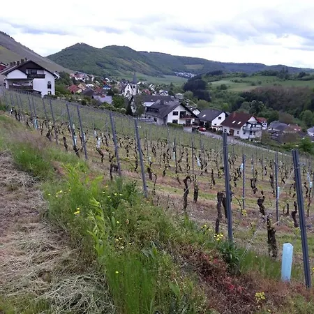 Saarblick * Ockfen